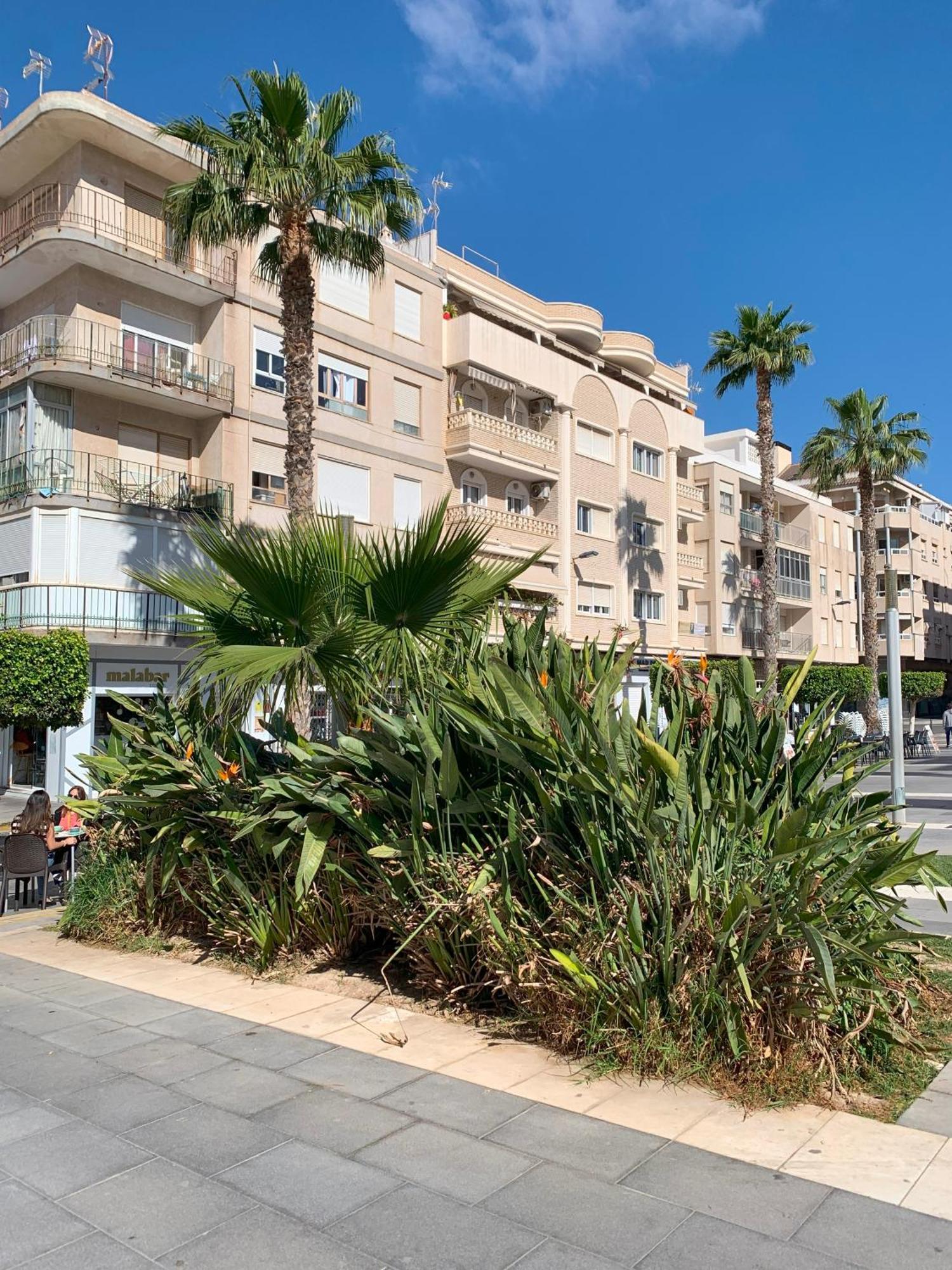 Apartamento Residencia Blanca By Zanis *
